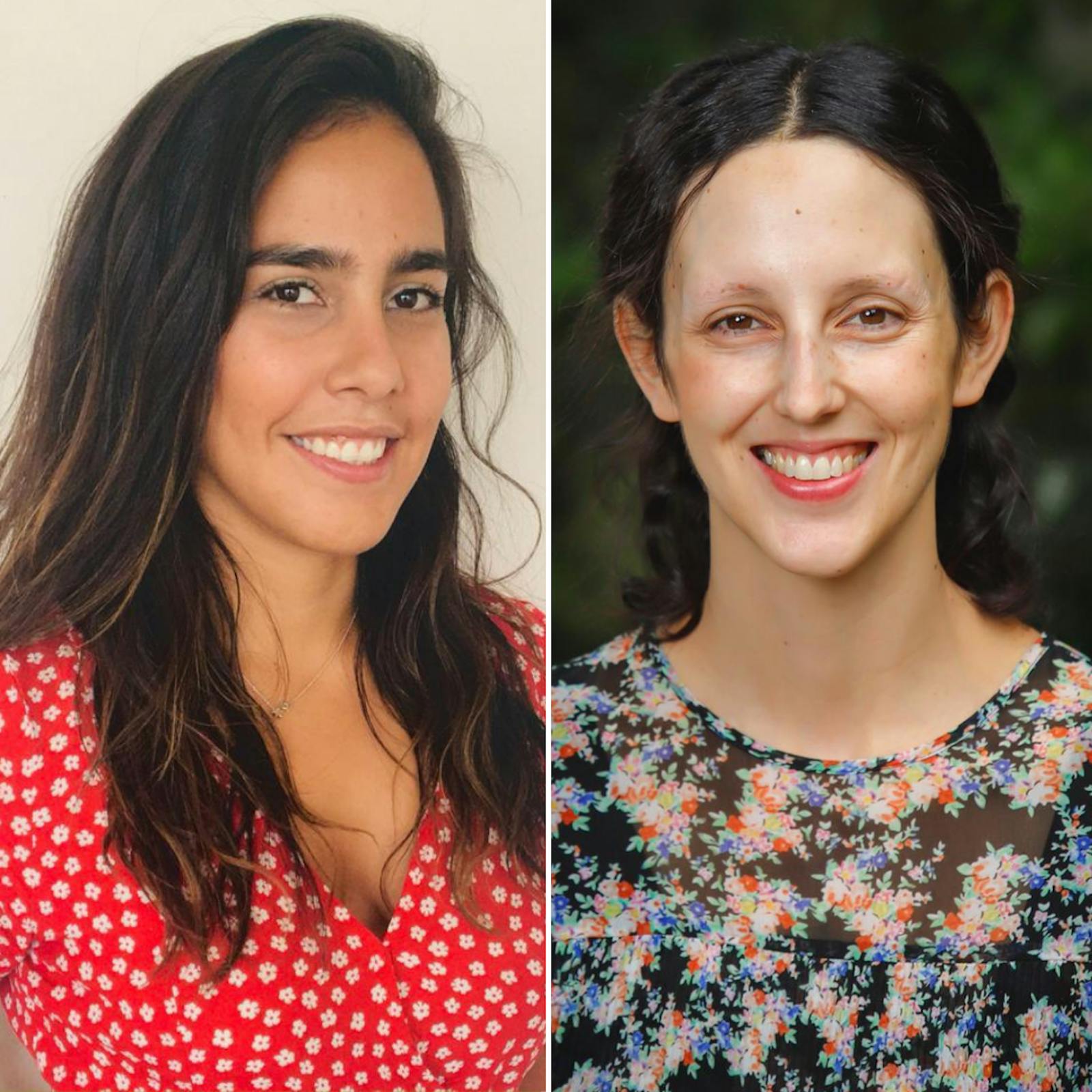 Mundaca y Araos por la inscripción de las listas parlamentarias, el estándar de probidad de algunos candidatos y las dos almas de la derecha