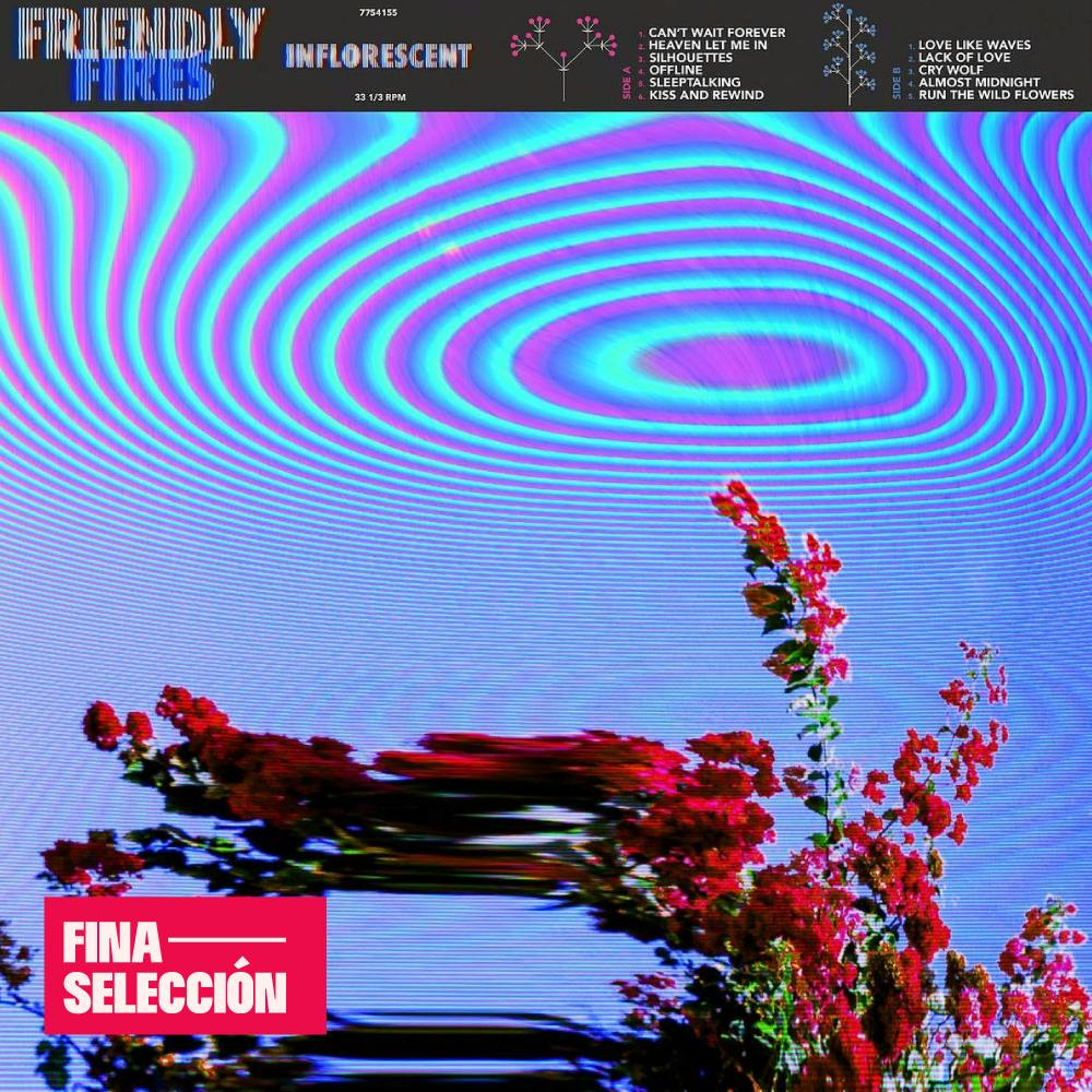 Friendly Fires - Inflorescent