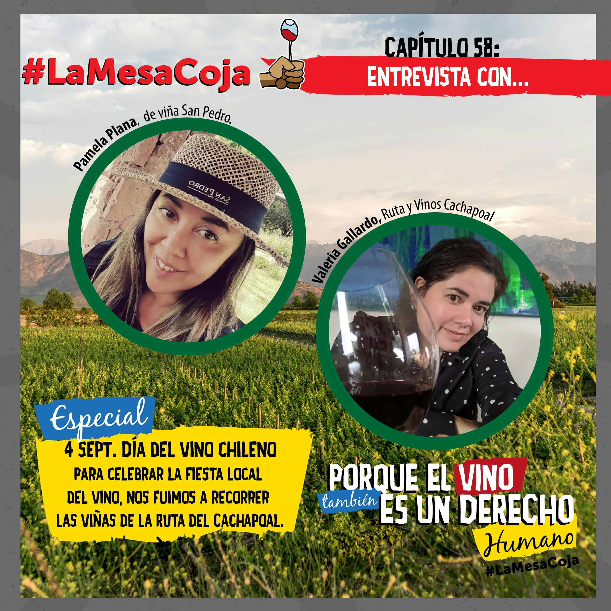 Especial Día del Vino Chileno