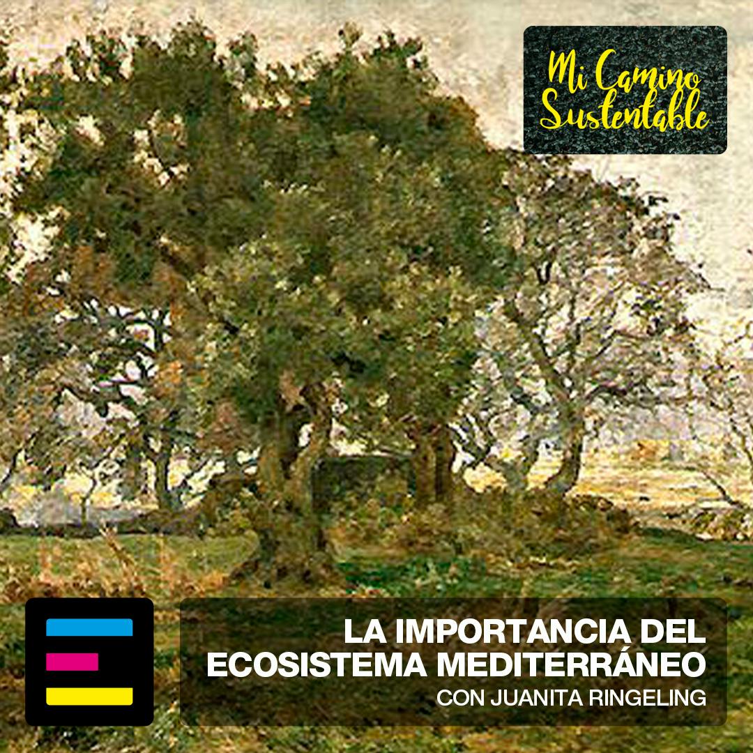 La Importancia del Ecosistema Mediterráneo