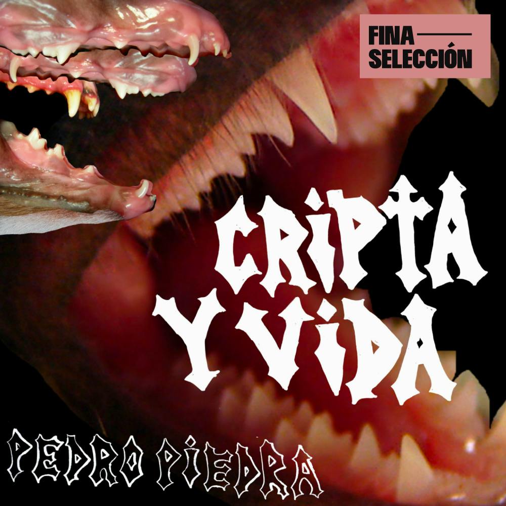 Pedropiedra - Cripta y Vida