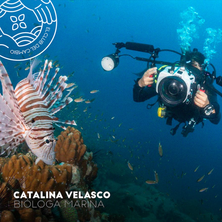 Catalina Velasco - Bióloga Marina