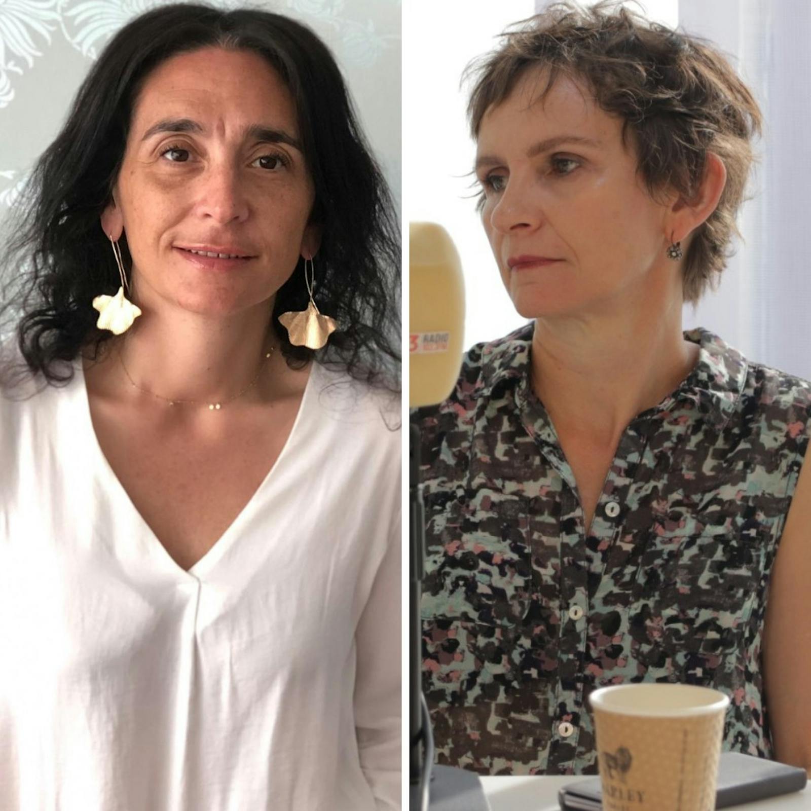 Naudon y Tohá por el nuevo orden del Gobierno entrante y el futuro del conflicto en la Macrozona Sur