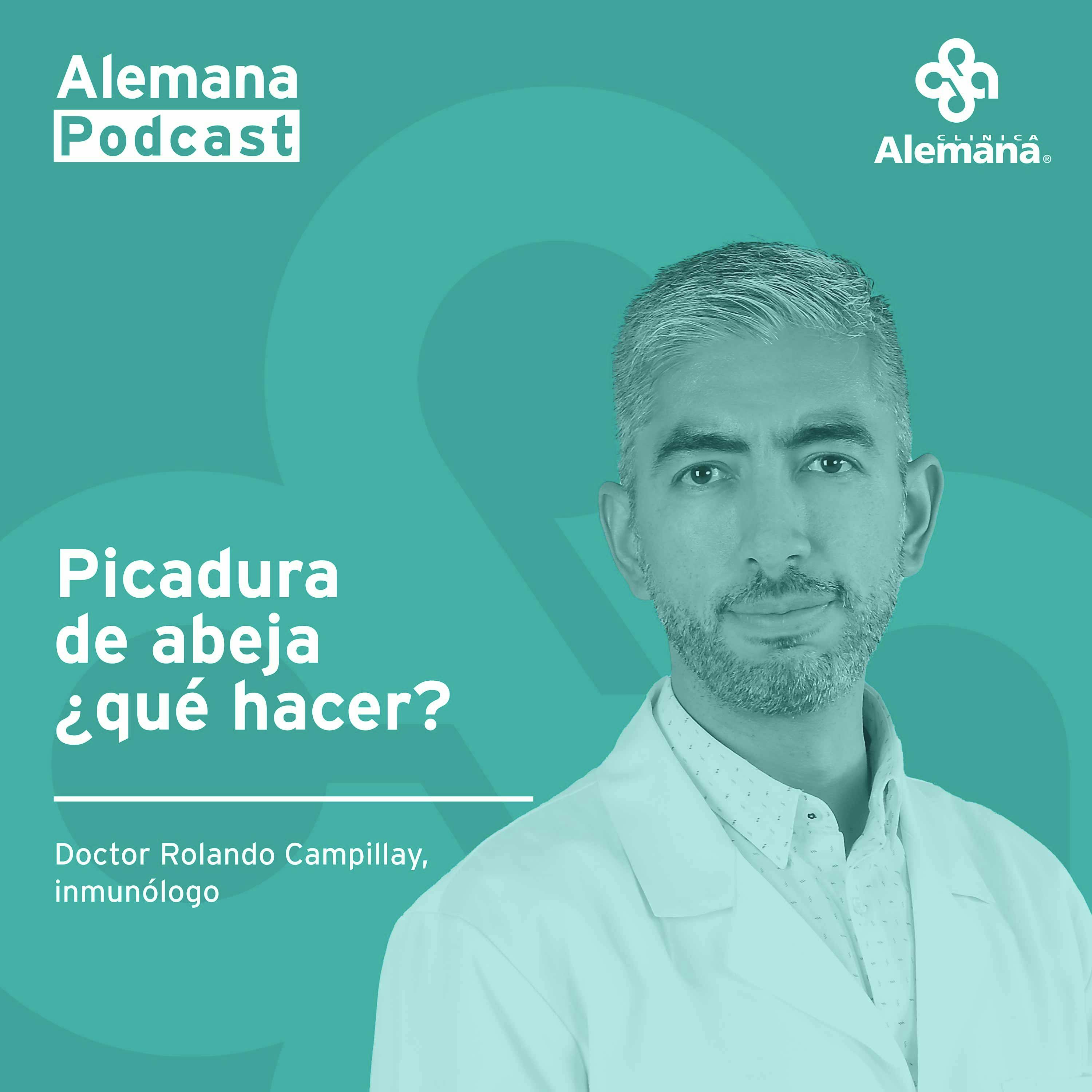 Picadura de Abeja: ¿Qué hacer? 