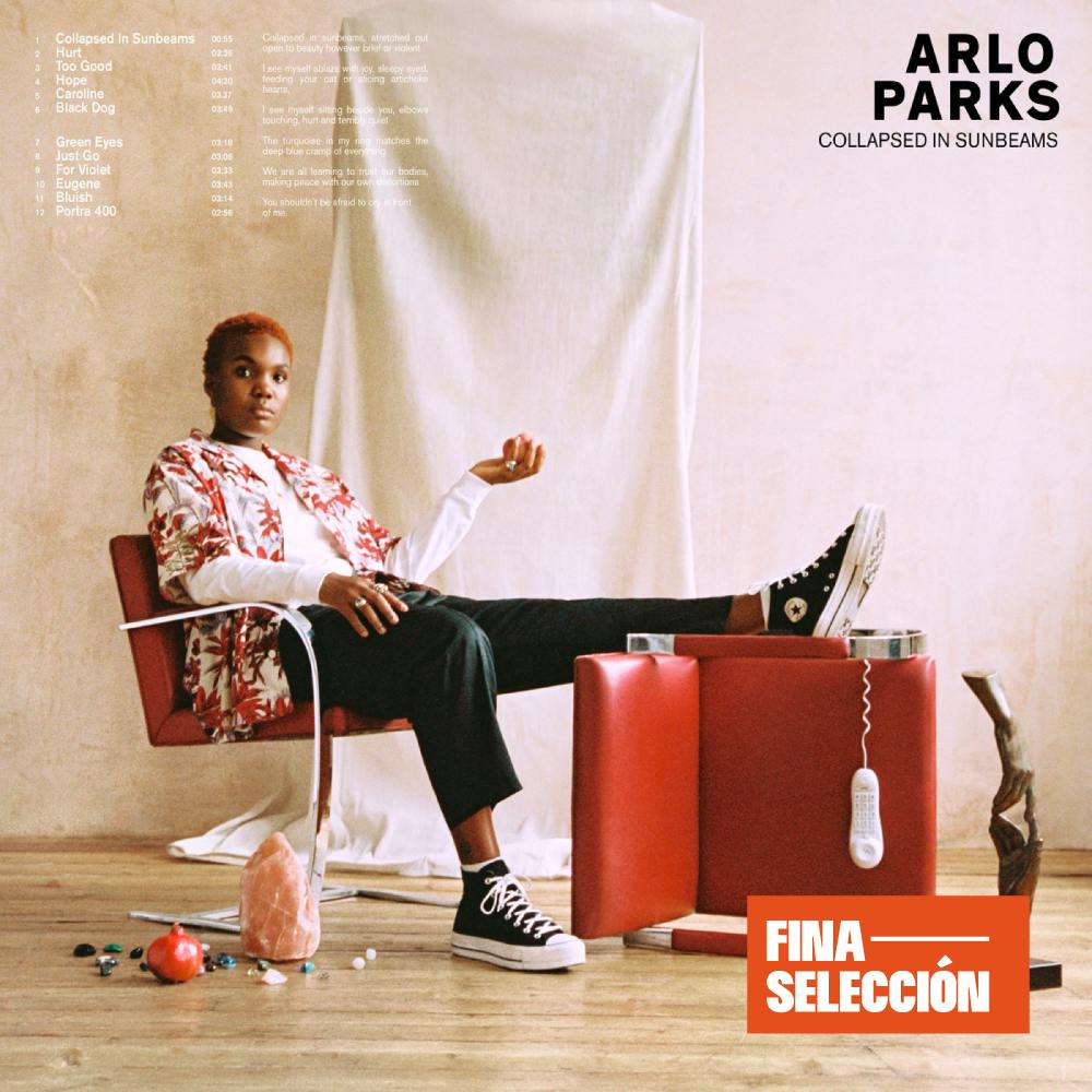 Arlo Parks - Collapsed in Sunbeams