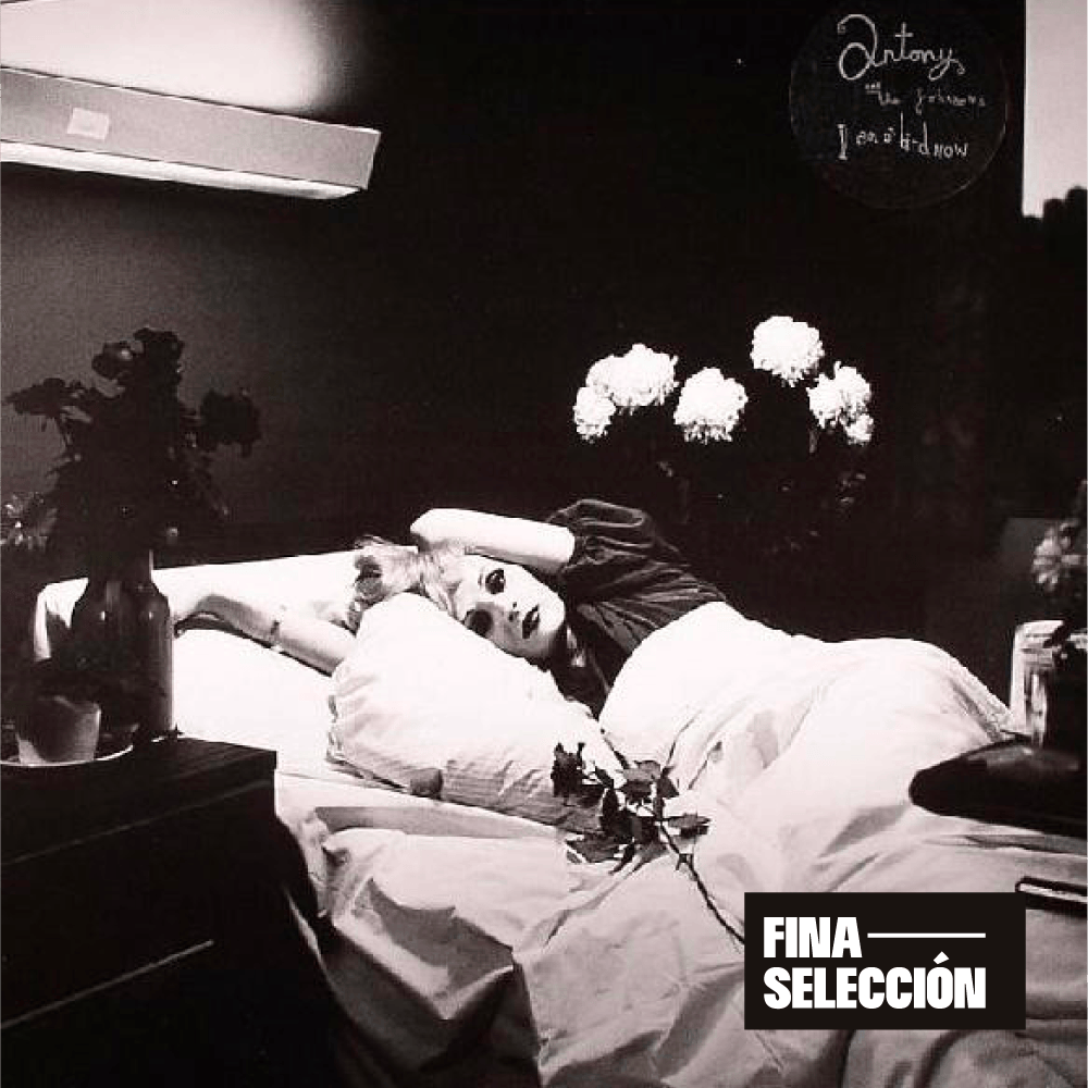 Antony and The Johnsons - I Am A Bird Now