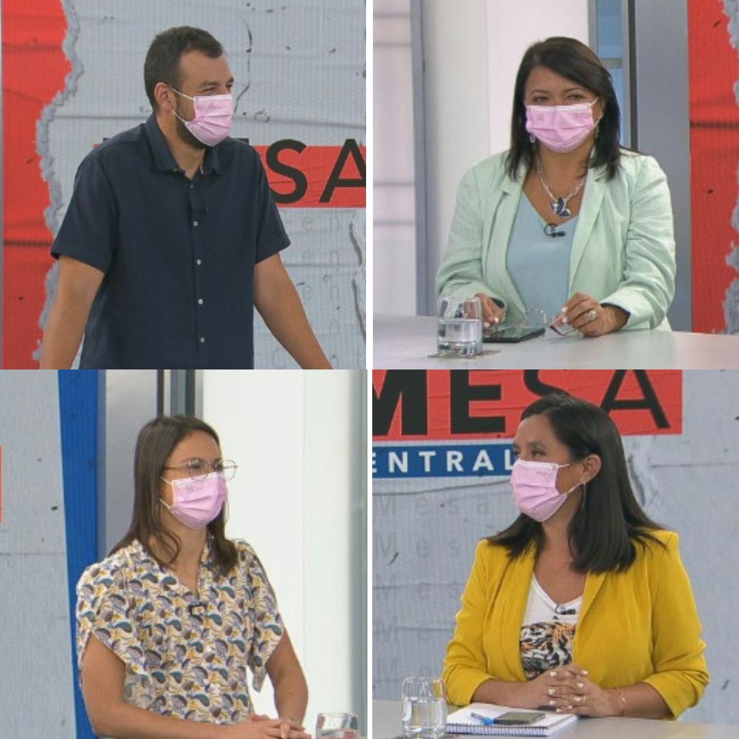 Alcaldes Hassler, Peñaloza, Pizarro y Vodanovic por denuncias de acoso y abusos al interior de los colegios 