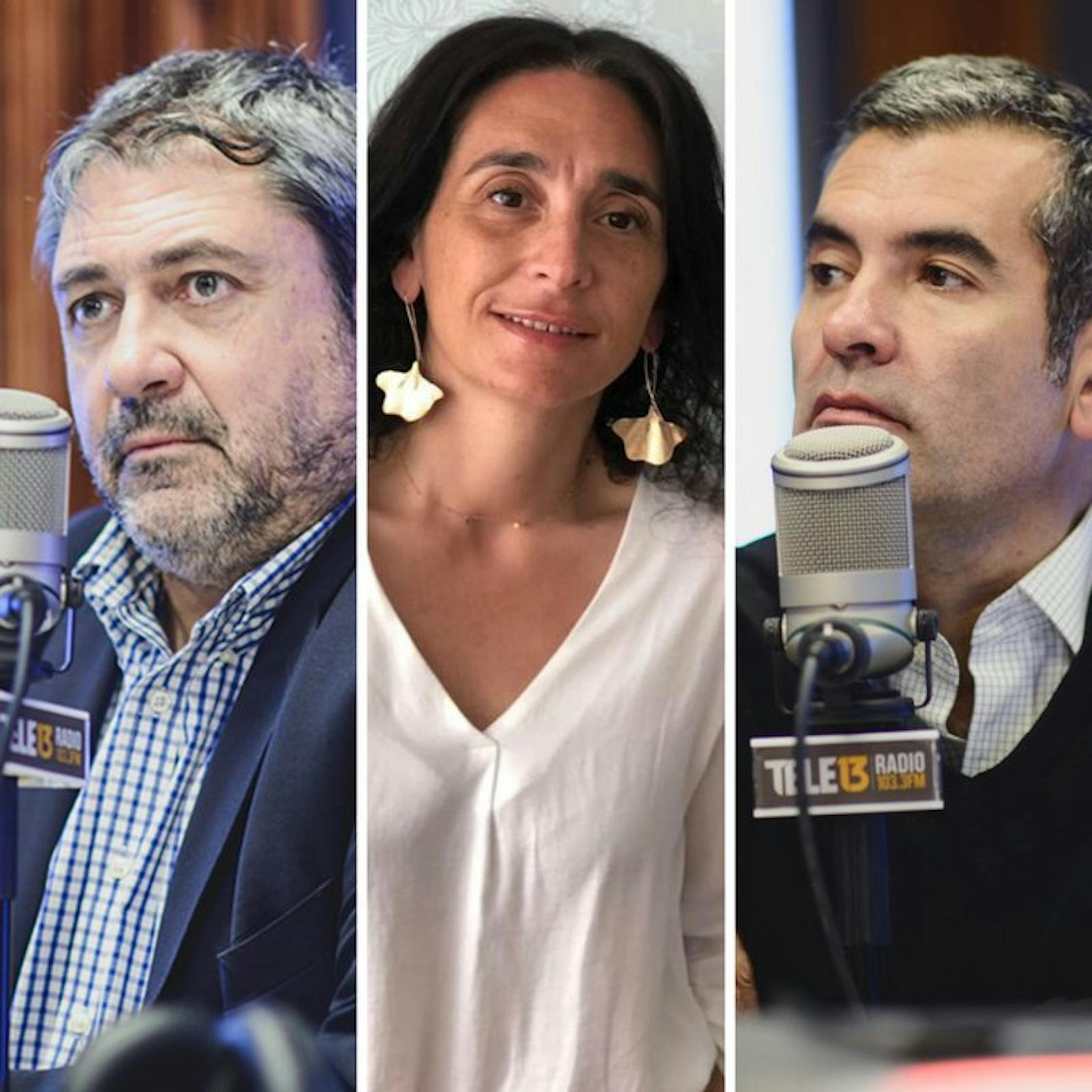 Naudon, Joignant y Mujica, por el informe de la Comisión de Sistema Político y la violencia en las manifestaciones