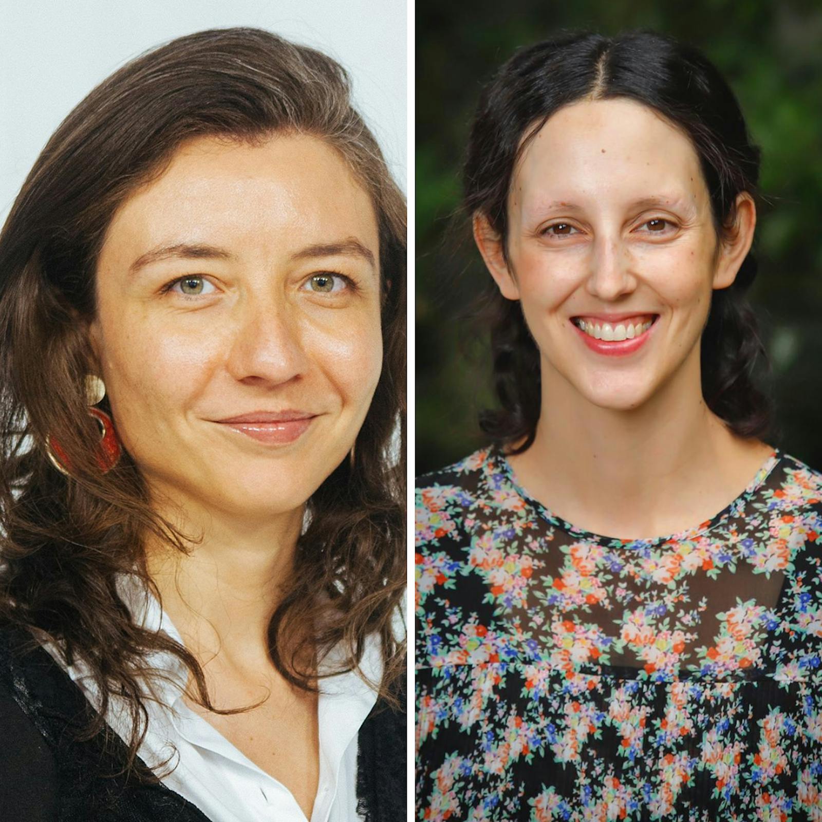 Quiroga y Araos por la tramitación del quinto retiro y la situación de la Convención Constitucional en las encuestas