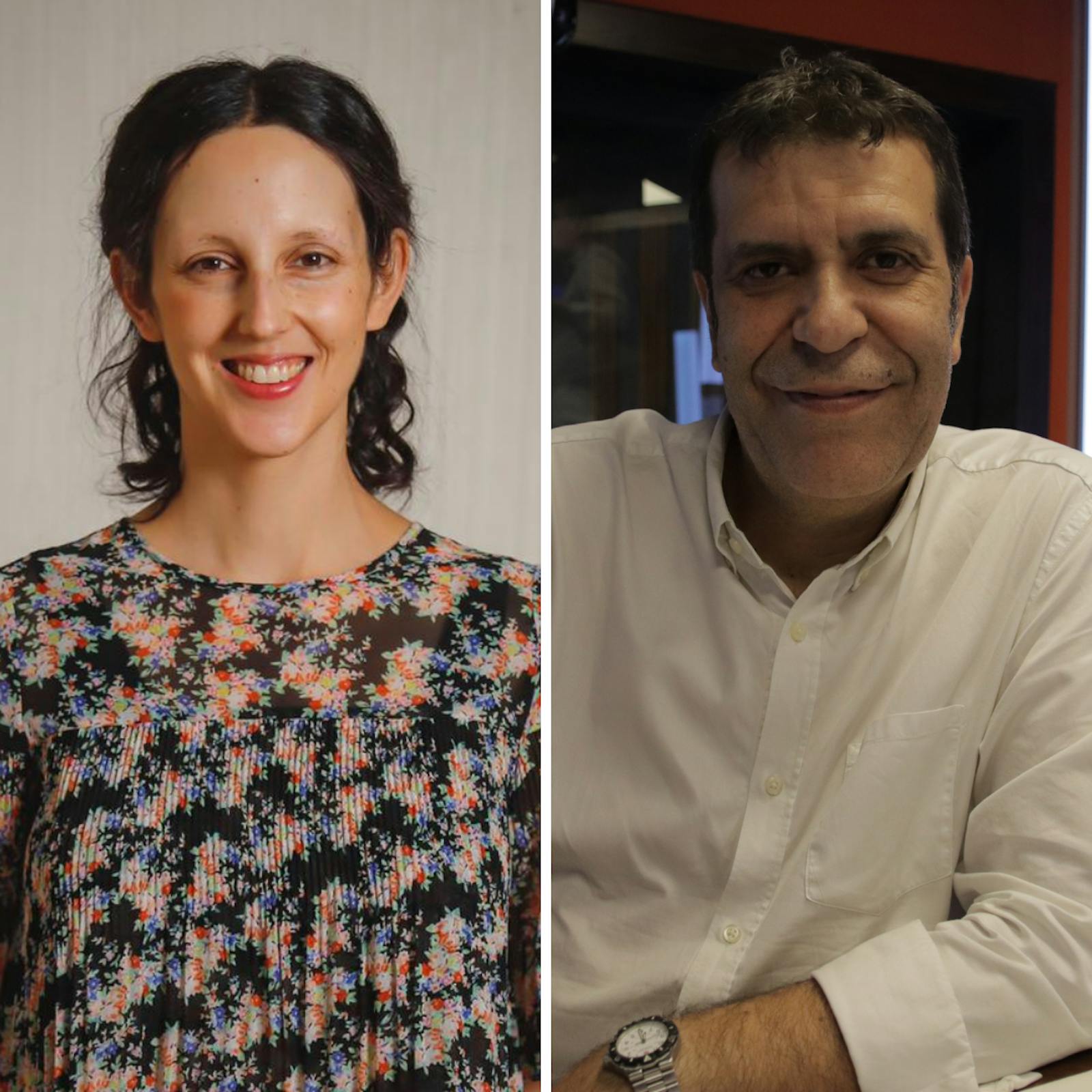 Araos y Moreno por el rechazo al quinto retiro y la votación del segundo informe de Derechos Fundamentales