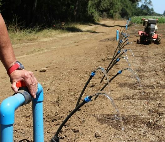 Daniela Rivera, directora del Centro de Derecho y Gestión de Aguas, por las discusiones que se han dado en la Comisión de Medio Ambiente