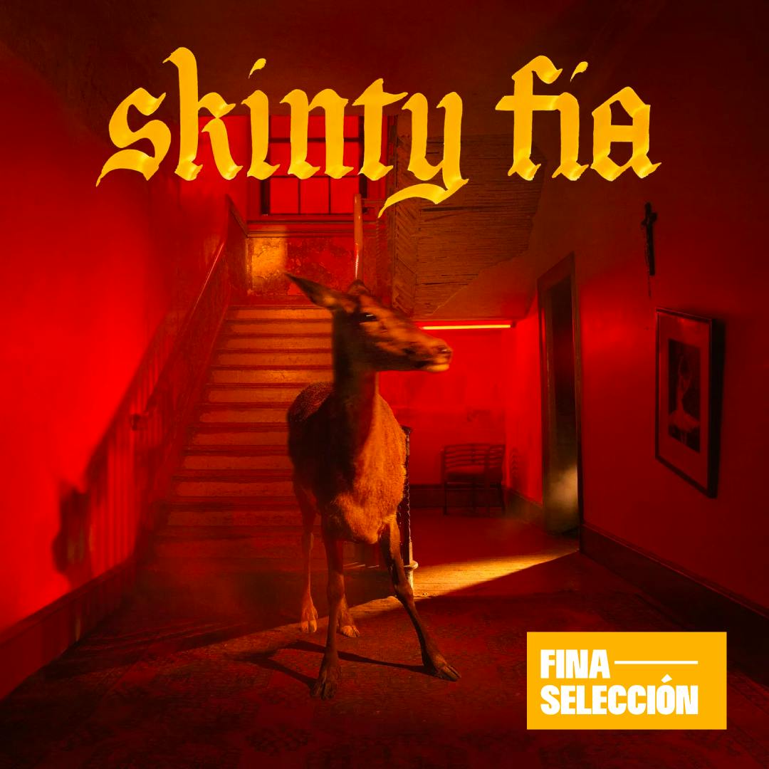 Fontaines D.C. - Skinty Fia