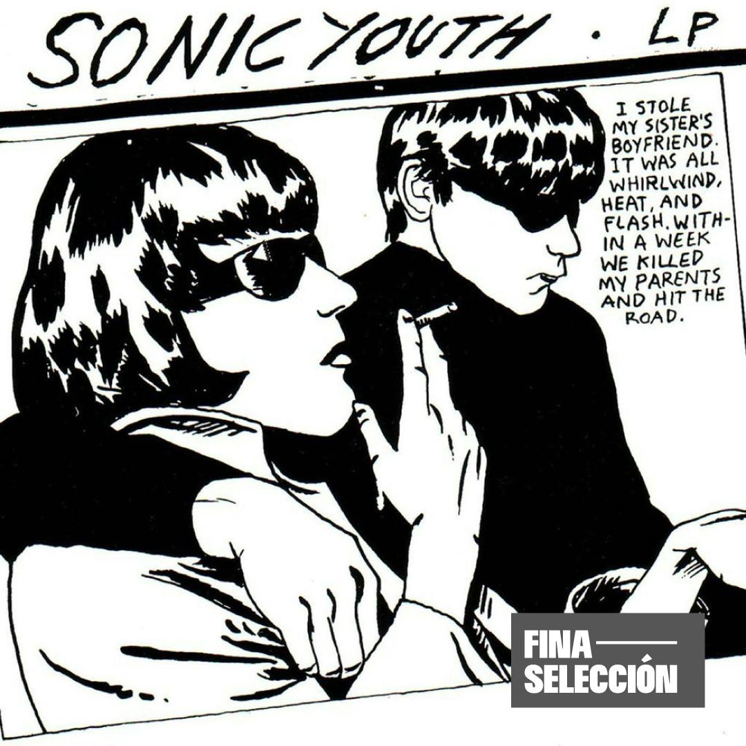 Sonic Youth - Goo