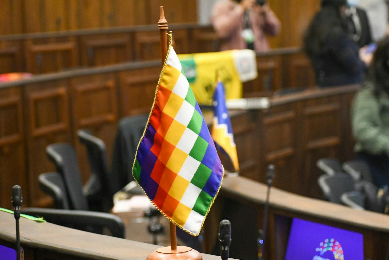 Abogada explica artículo aprobado por la CC que reconoce derecho de pueblos indígenas a “tierras, territorios y recursos”