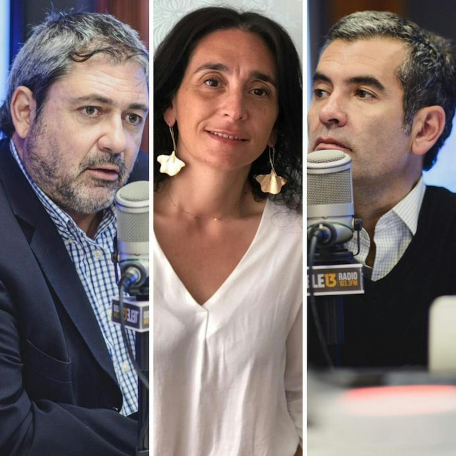 Joignant, Naudon y Mujica por la discusión de los Decretos con Fuerza de Ley y la muerte de Segundo Catril Neculqueo