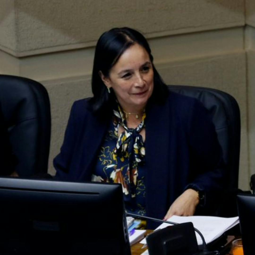 Carmen Gloria Aravena, senadora por La Araucanía: “Existe una crisis humanitaria en la zona. Las personas tienen que decidir si salir o no por el riesgo de transitar por ciertas rutas”