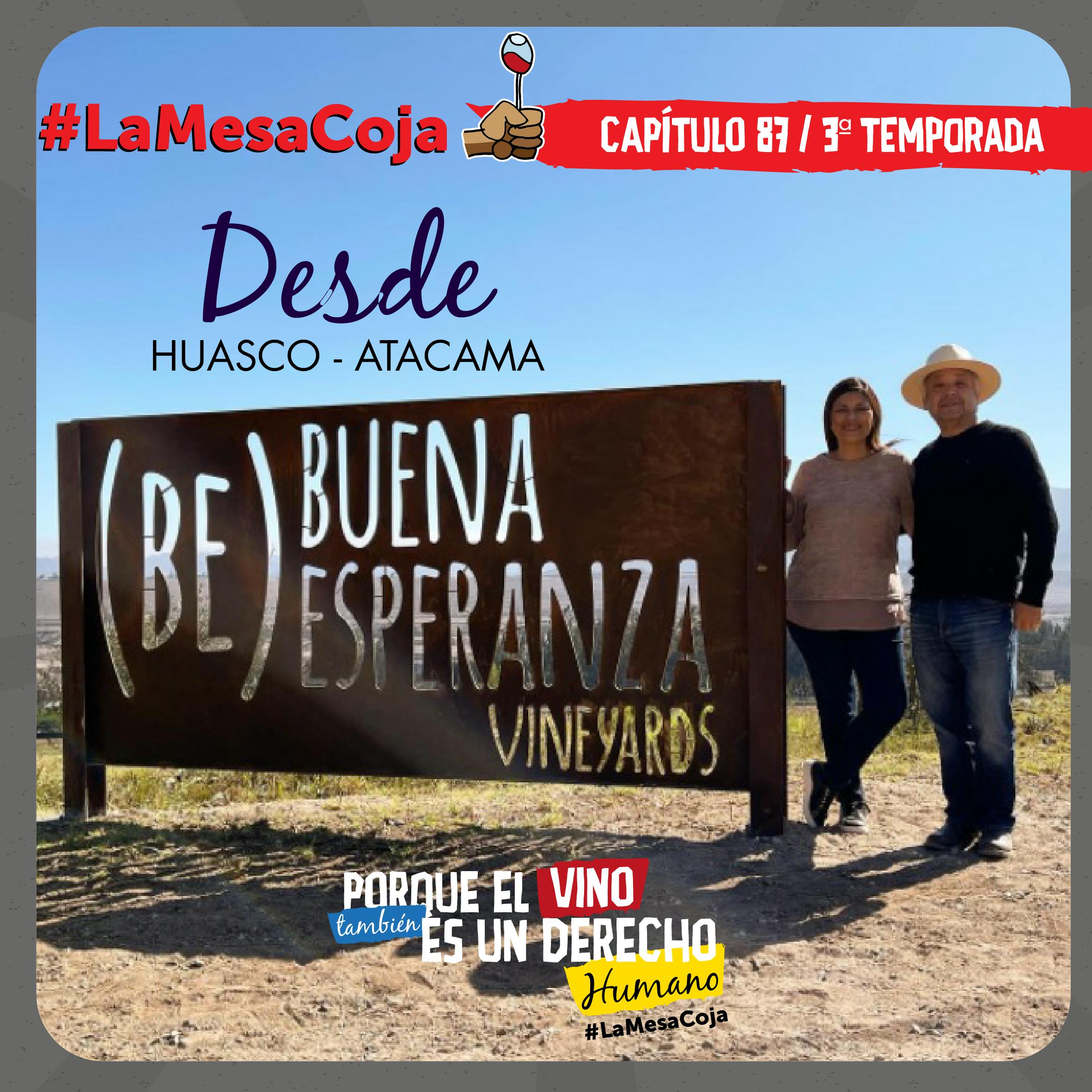 Desde Huasco - Atacama