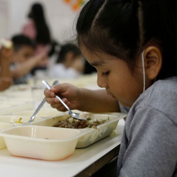 Investigador U. Finis Terrae: Cada alimento cumple con un rol fundamental en aspectos del crecimiento y el desarrollo de los niños