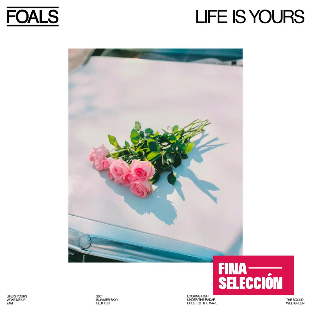 Foals - Life Is Yours