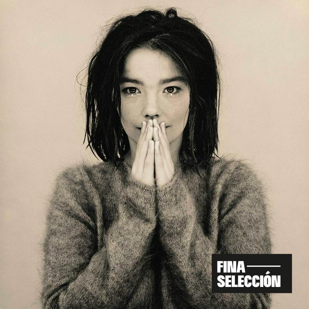 Björk - Debut