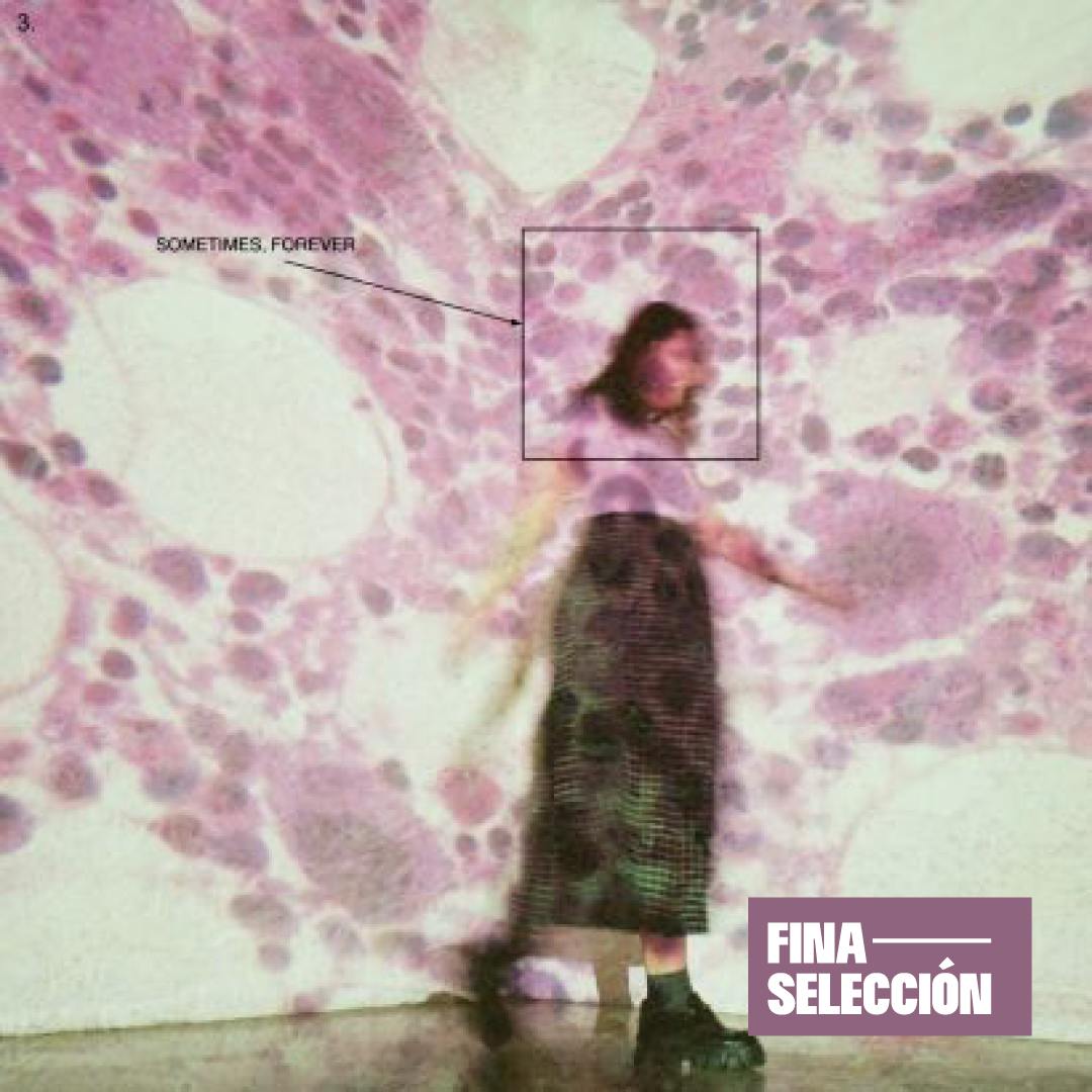 Soccer Mommy - Sometimes, Forever