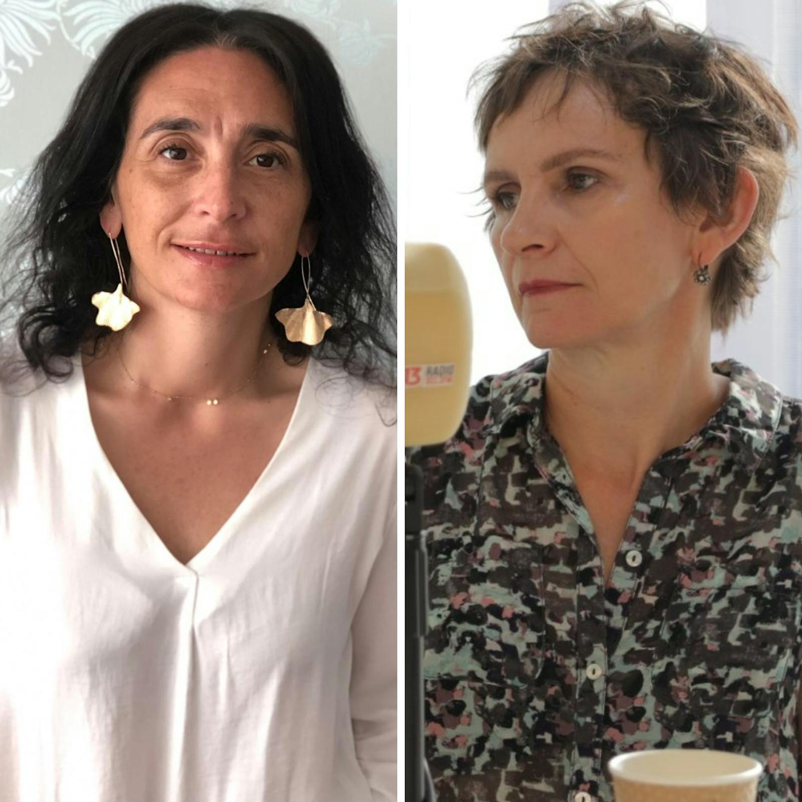 Naudon y Tohá por un eventual triunfo del Rechazo y el nuevo proceso constituyente que impulsaría el Gobierno con este resultado