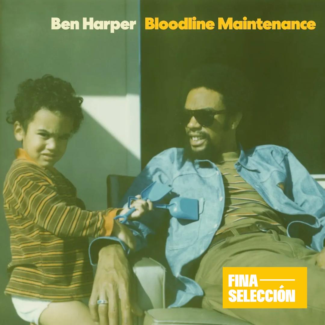 Ben Harper - Bloodine Maintenance