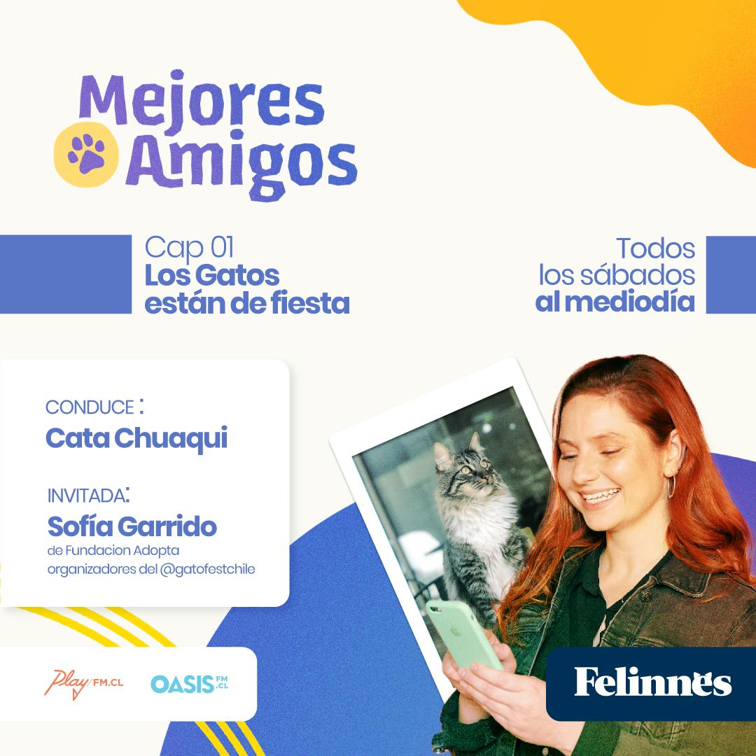Los Gatos Están de Fiesta