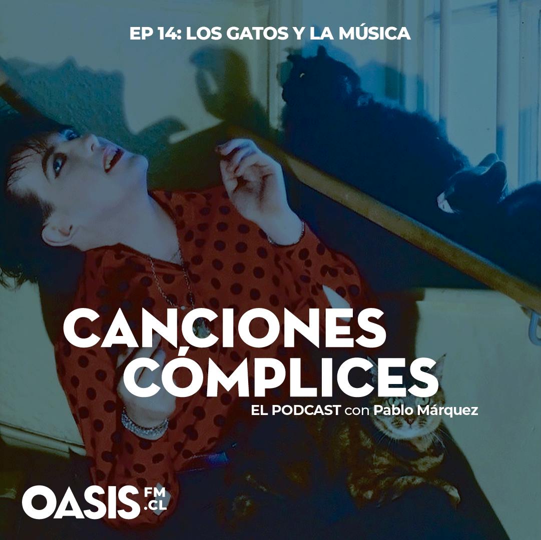 Los gatos y la música