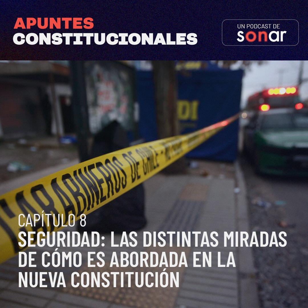 Seguridad: Las distintas miradas de cómo es abordada en la nueva Constitución