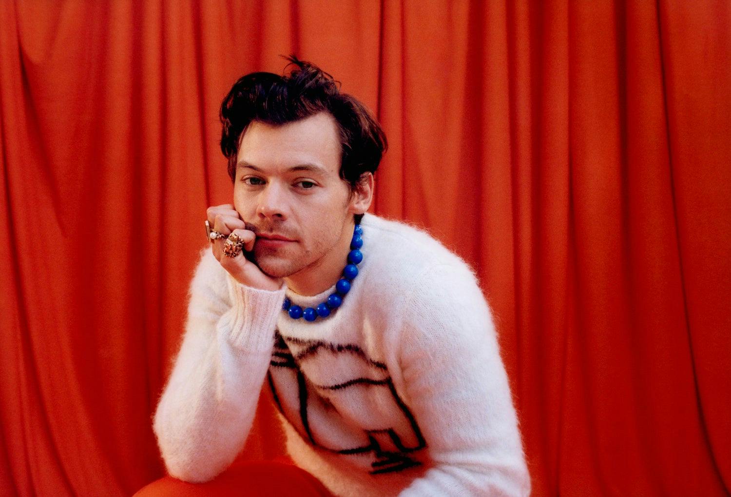 Pucha que nos gusta Harry Styles