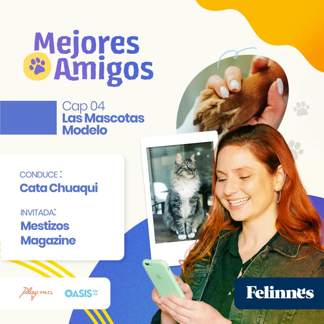 Las Mascotas Modelo