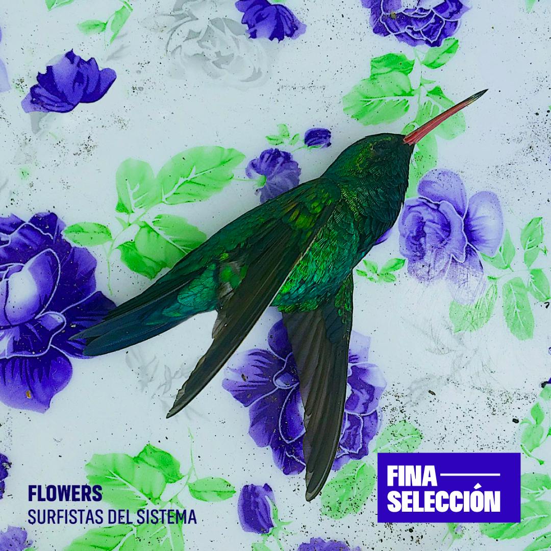 Surfistas del Sistema - Flowers