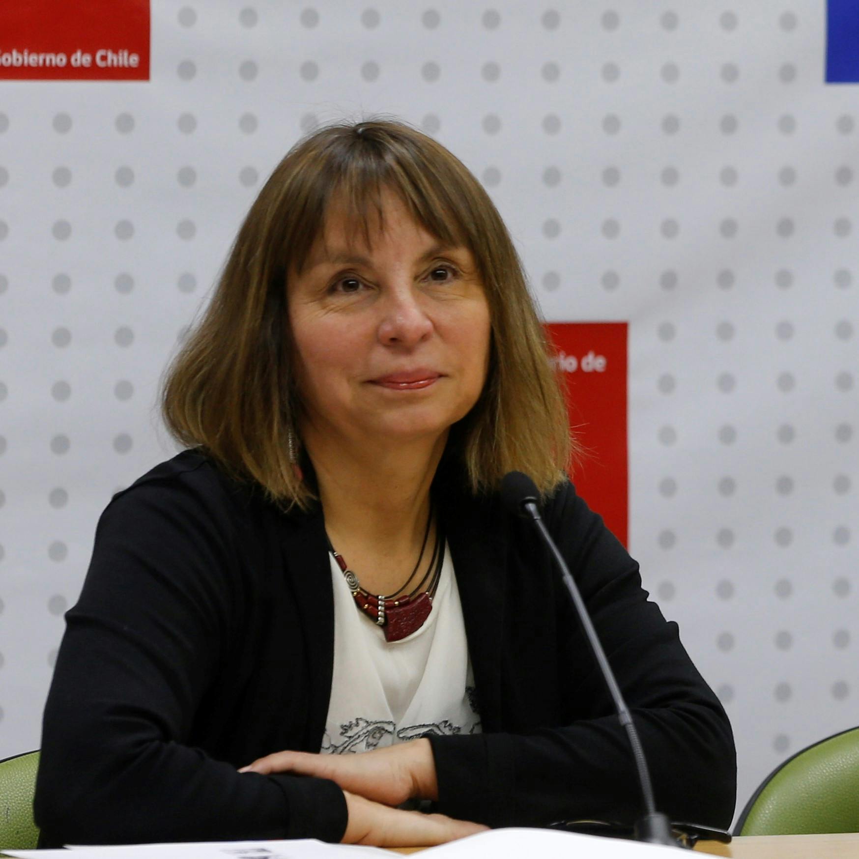 Axel Callís sobre salida de Ministra Vega: Fue un error tremendo, era irrespaldable de parte del Gobierno