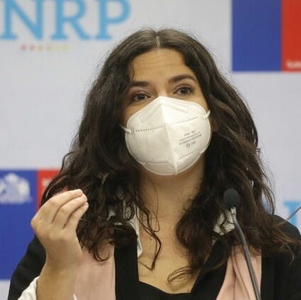 Ministra de la Mujer y Plan Chile para Todas: Es fruto del trabajo de transversalización de género