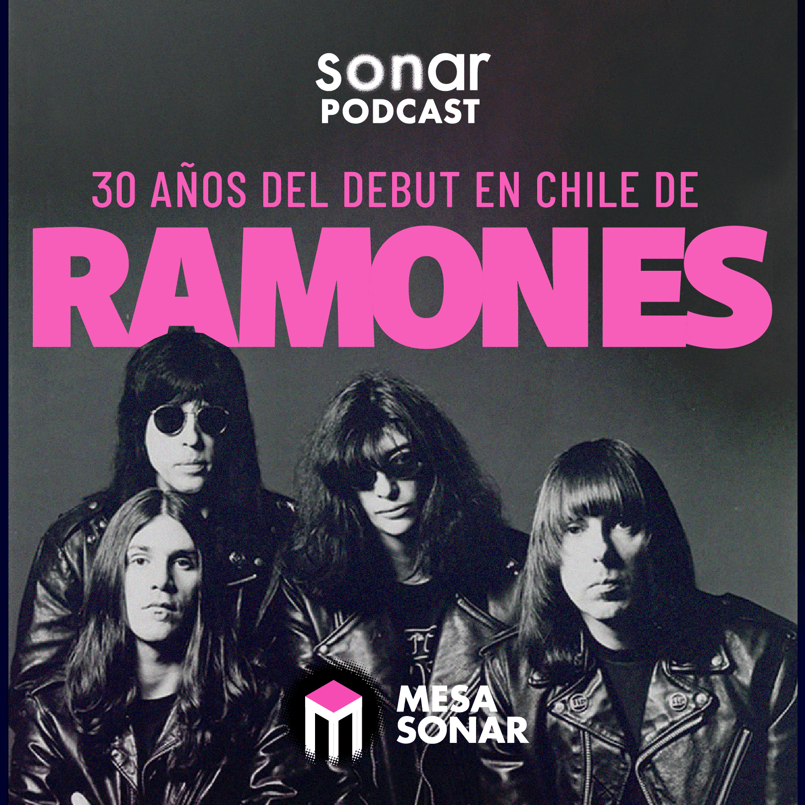 30 años del debut en Chile de Ramones
