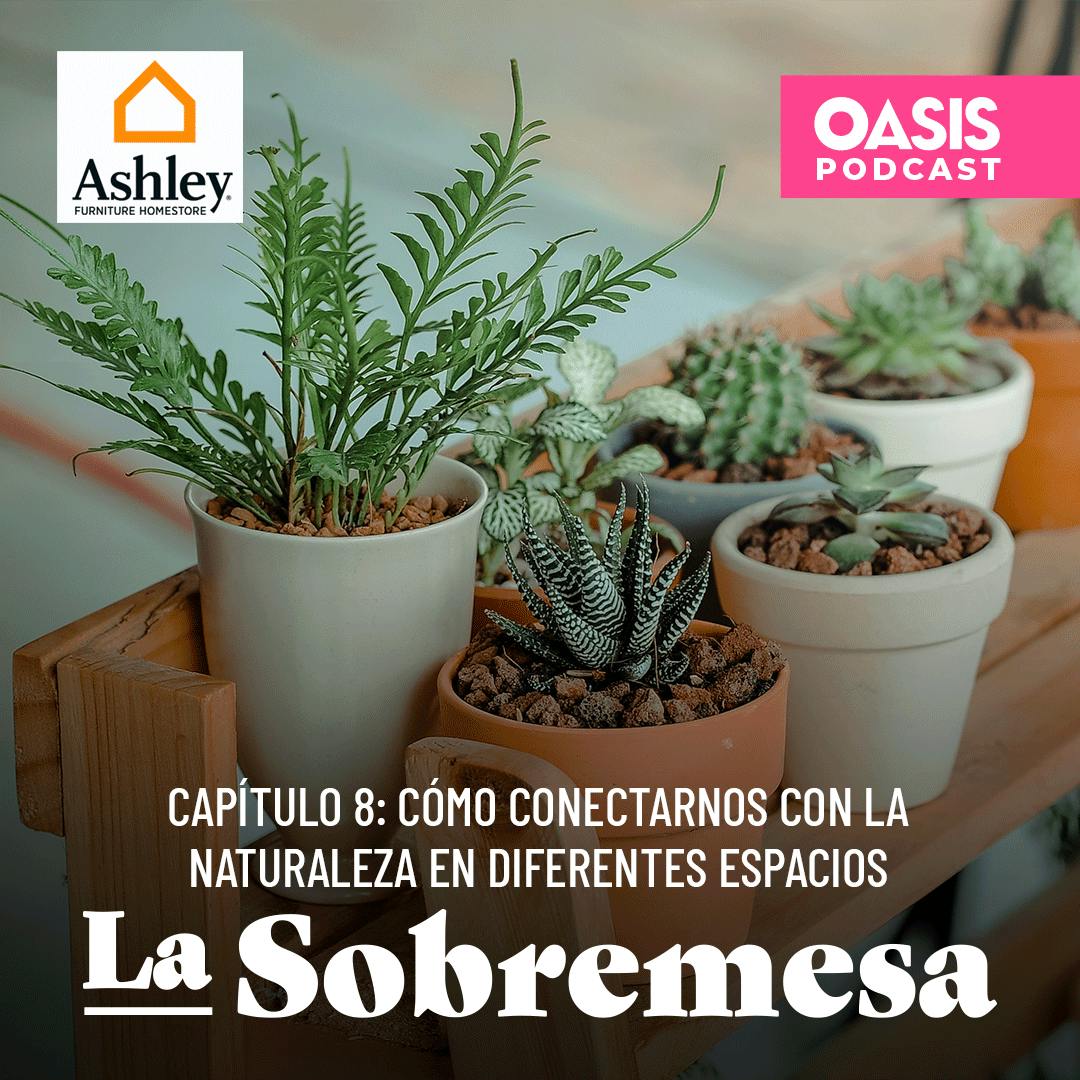 Cómo conectarnos con la naturaleza en diferentes espacios