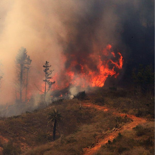 Director de Conaf por Plan contra Incendios Forestales: “Incrementará la capacidad que tenemos de analizar de dónde viene el incendio y cuál es factor que lo gatilla”