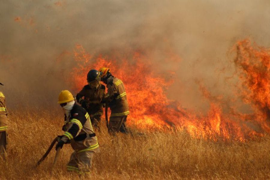 Gerente de Conaf explicó el Plan de Incendios forestales para la temporada