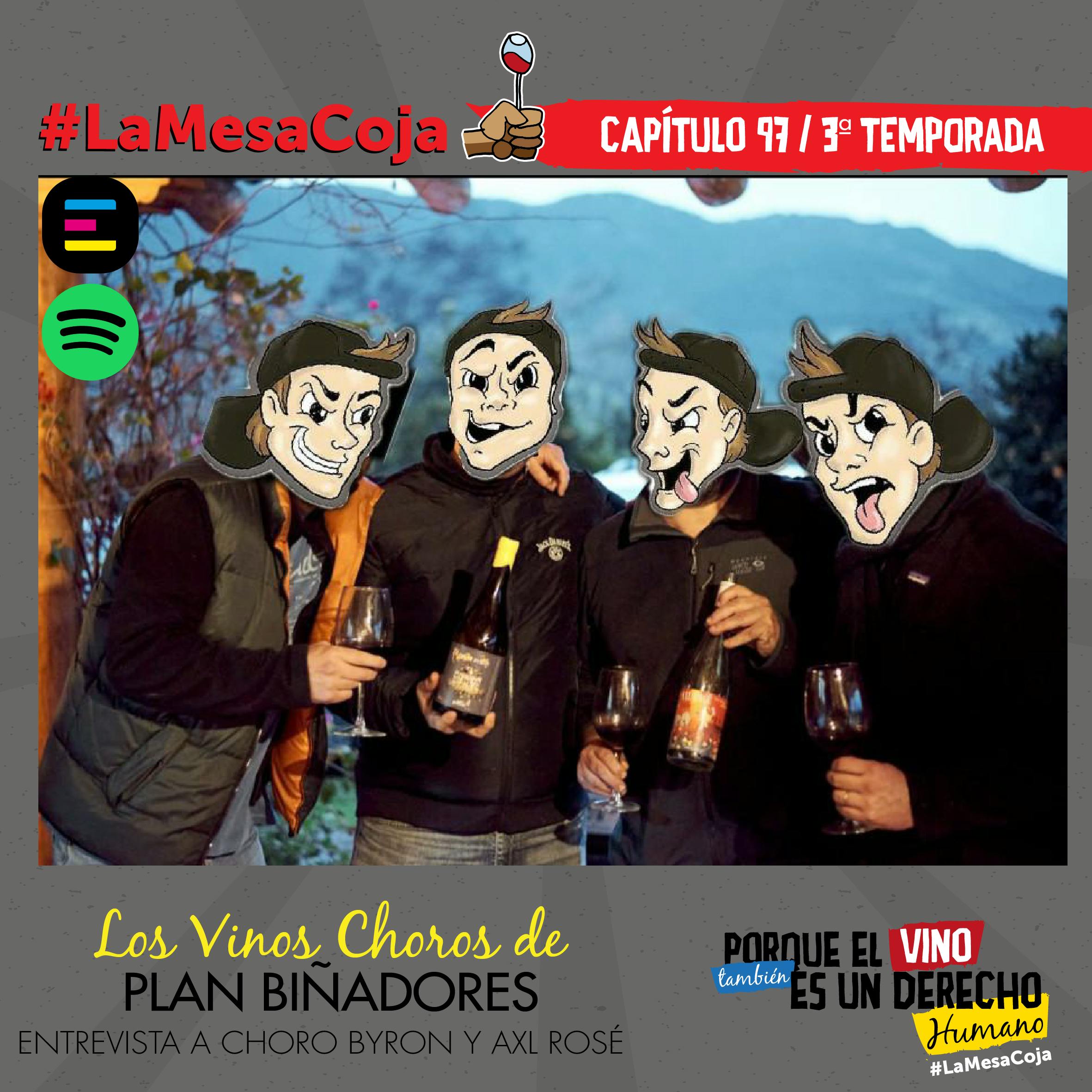 Los Vinos Choros de Plan Biñadores