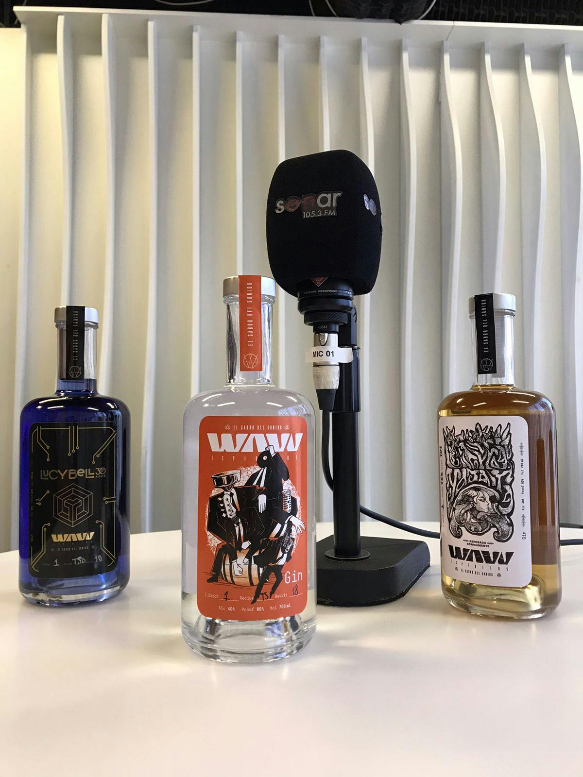 Rock y Alcohol: una mezcla inevitable