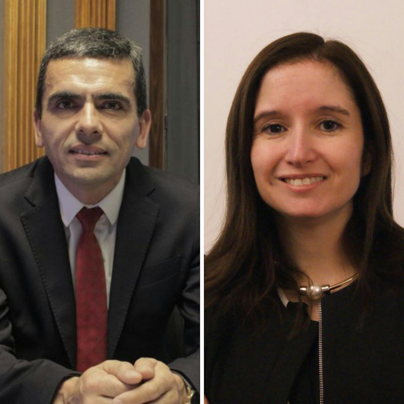 Gajardo y Cruz por la denuncia constitucional contra Pedro Castillo y el concurso para el cargo de Fiscal Nacional