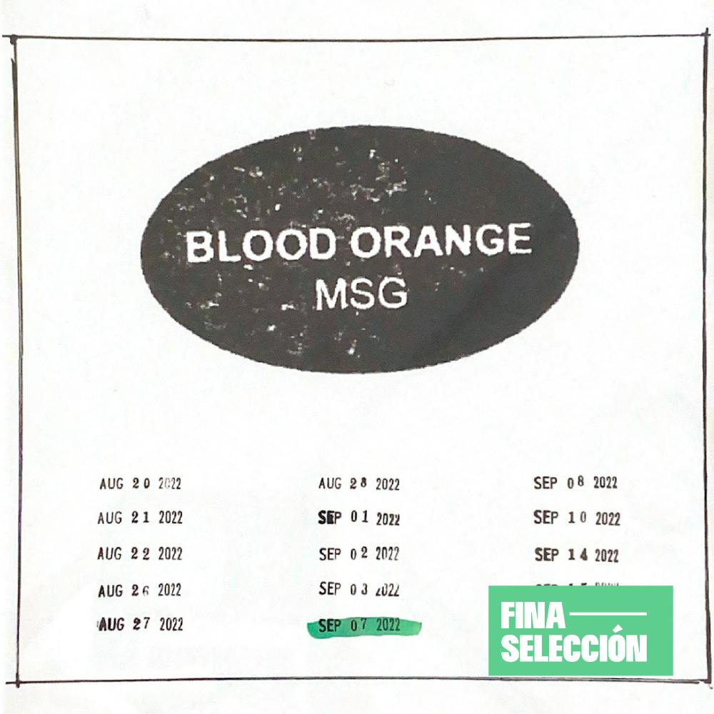 Blood Orange - Live at MSG