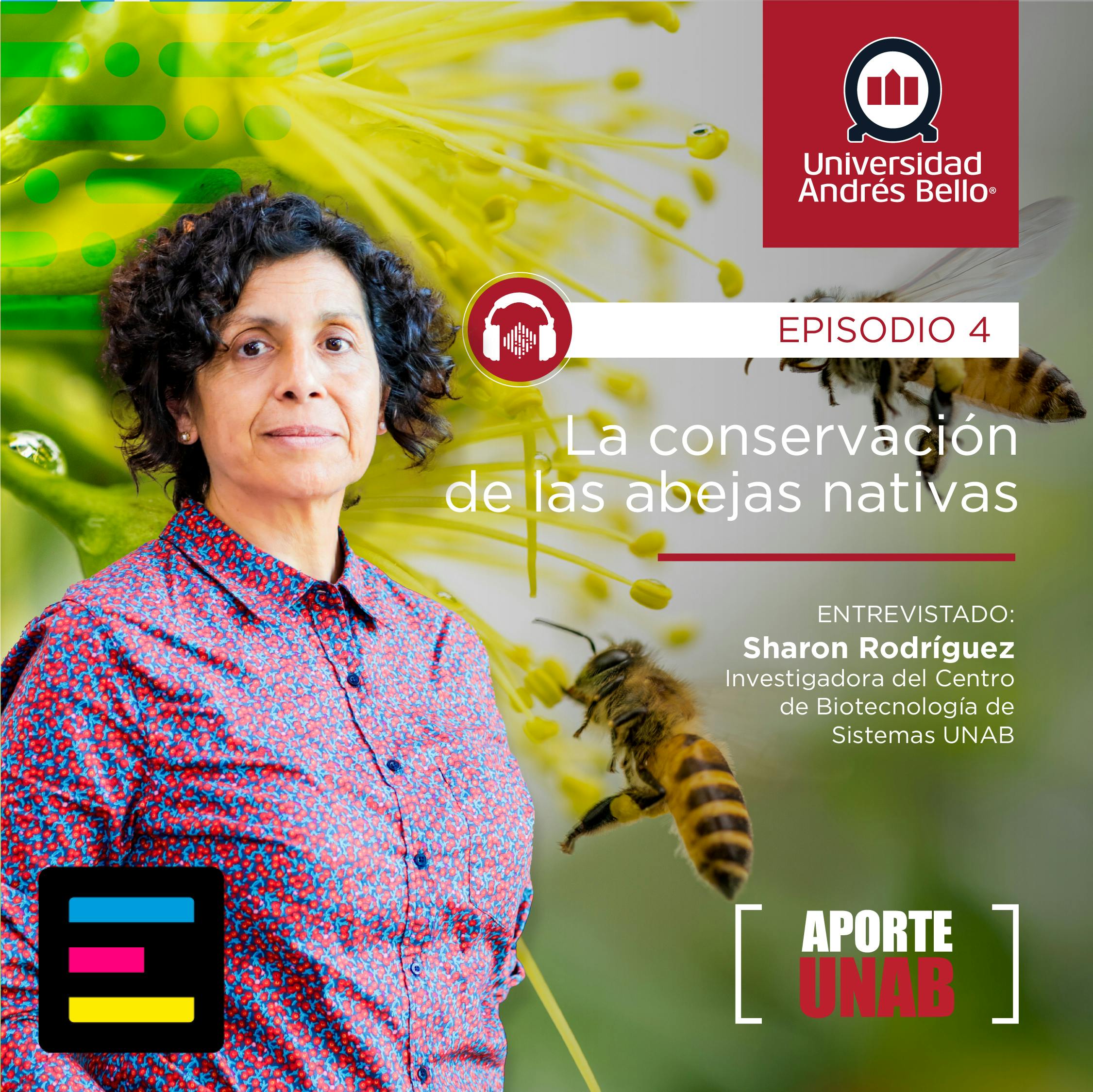 La Conservación de las Abejas Nativas