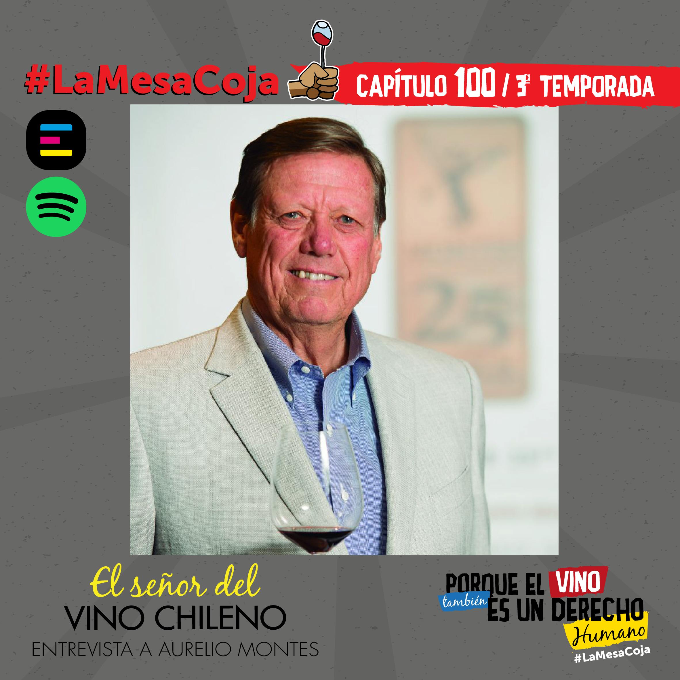 El Señor del Vino Chileno