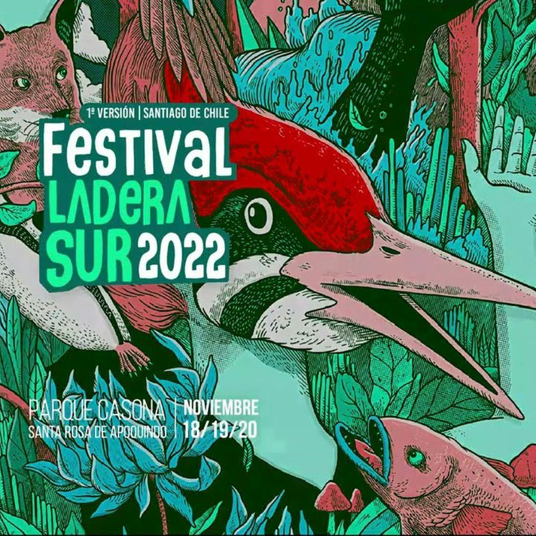 Isabel Behncke por Festival Ladera Sur: “El formato en que lo están haciendo es novedoso para Chile porque es una fiesta en la naturaleza y las fiestas nos congregan”