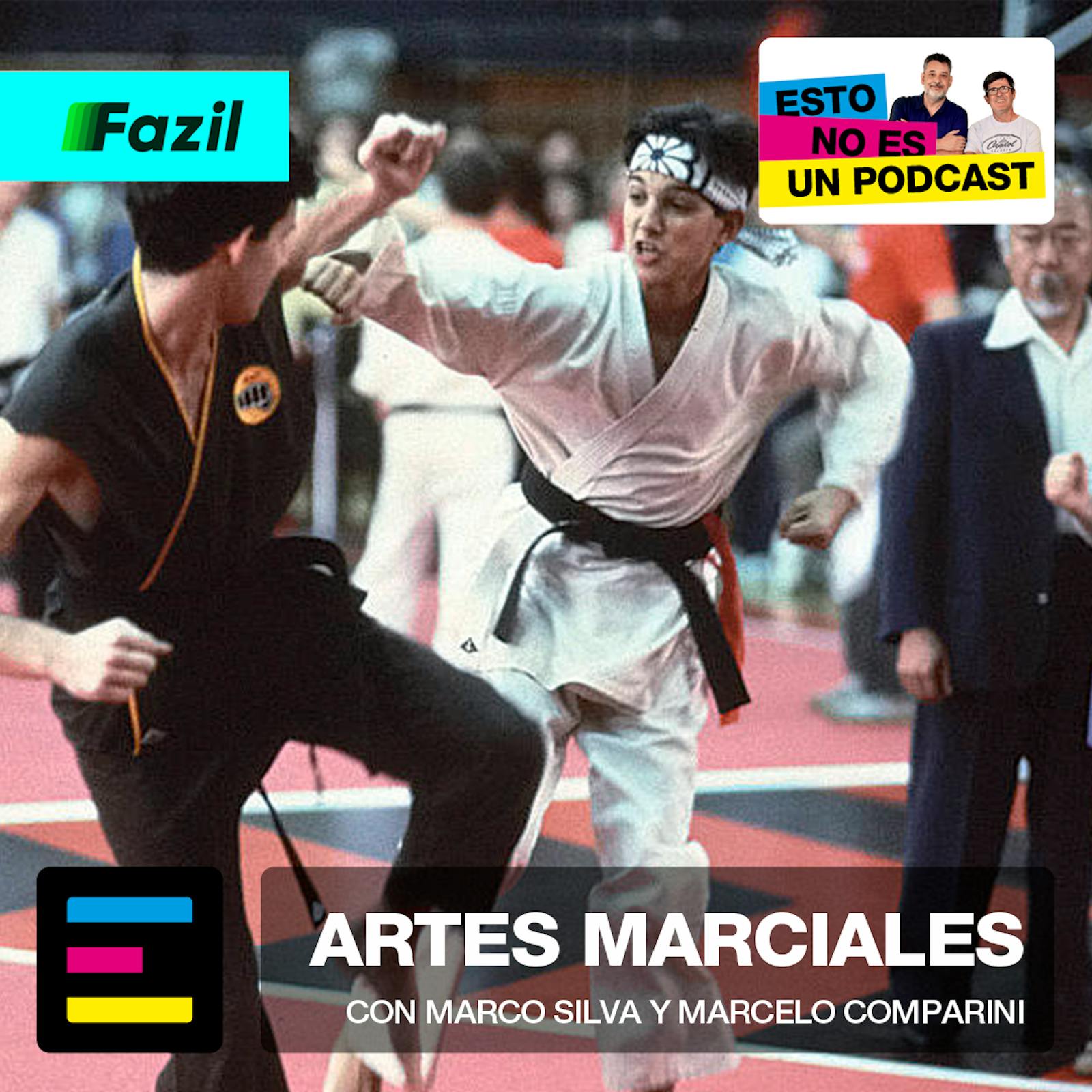 Artes Marciales
