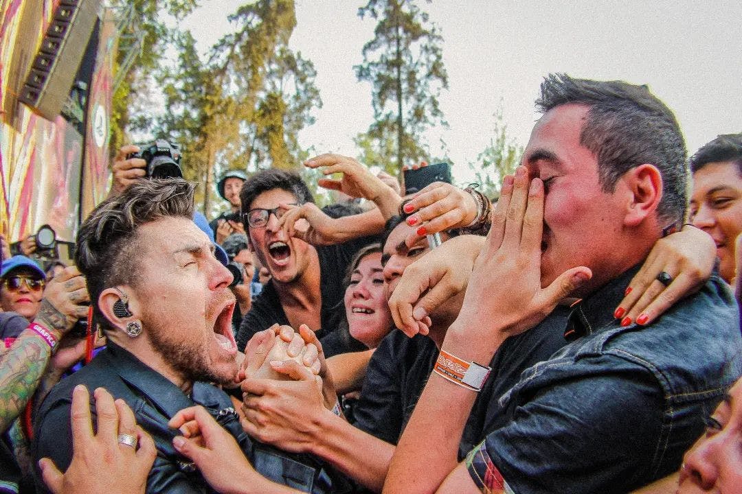 11/11 ¿Festivales o shows por separado?