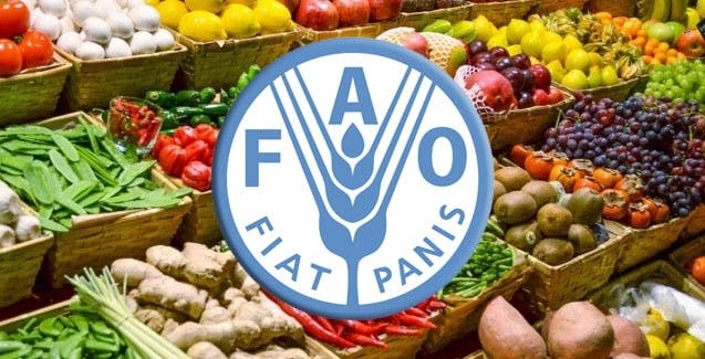 16/11 FAO comenta preocupación alimentario por récord de habitantes en el mundo