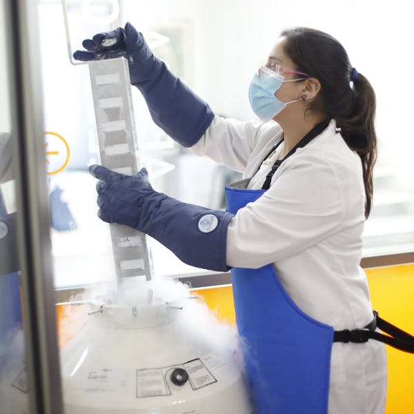 Investigadora IMPACT: “Uno de nuestros principales focos es generar un nuevo tratamiento para el cáncer. Uno nuevo para Chile”